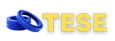 Tese & Techo Engineering Limited